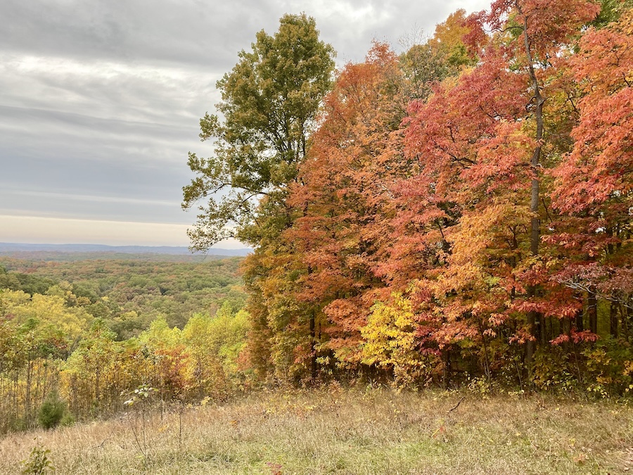 Brown County (Indiana) State Park